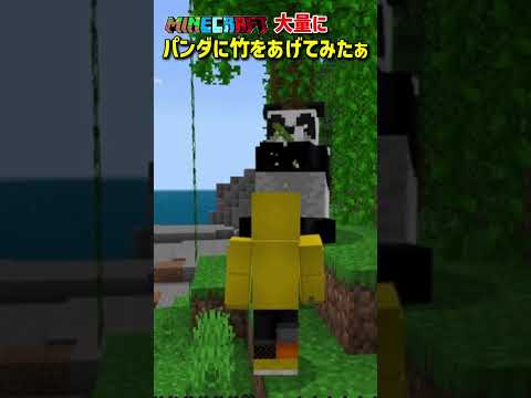 【マイクラ/MINECRAFT】🐼パンダに竹を大量にあげてみたら…?!