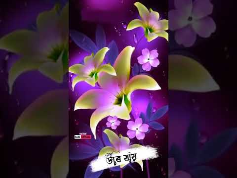 Uri Jai Tanmoy Saikia || Assamese new ringtone || BABU OFFICIAL || #shorts