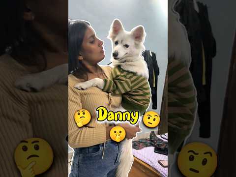 Danny Ki Demand 🤔🤨 Day 376 #minivlog #ashortaday #tranding #shorts