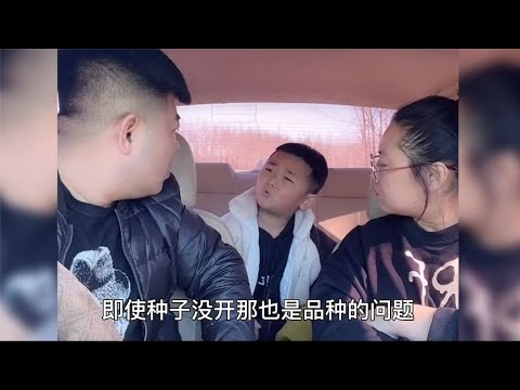 儿子学习不好还贪玩，爸妈齐教育，儿子心有不服，回怼挺有理