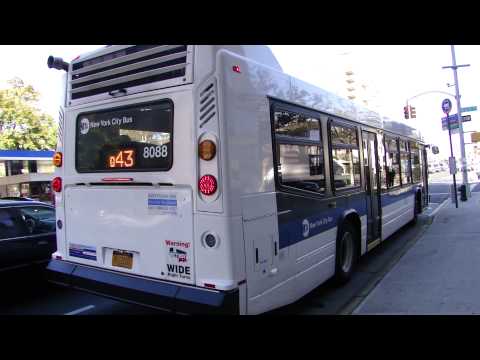 MTA New York City Bus: NovaBus LFS #8088 on the Q43 @ Hillside Avenue & 165th St