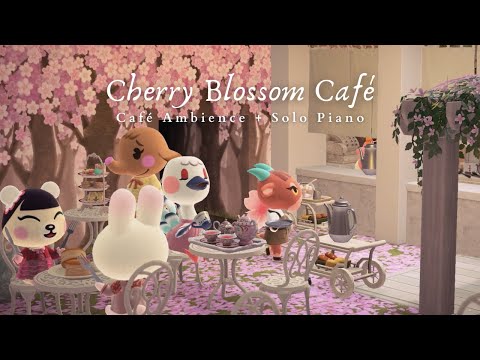 Cherry Blossom Café 🌸 Café Ambience + 1 Hour Magical Solo Piano No Mid Ad 🎹 Study Music | Work Aid 🎧