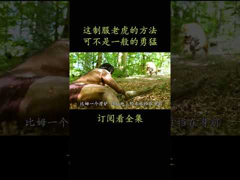 这制服老虎的方法 可不是一般的勇猛#電影 #movie #film#RRR#小老虎