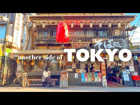 Another side of Tokyo | Retro Neighborhood Shibamata, Temples, Street Food & Tea House | Japan VLOG