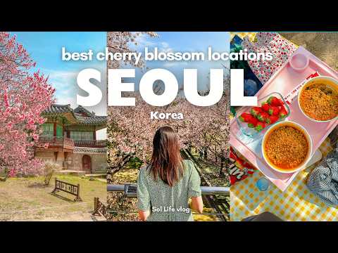 TOP 10 Best Cherry Blossom Spots in Seoul 🌸 | Aesthetic cafes, Hangang picnic | Spring in Seoul VLOG