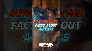 Mind Blowing Facts About Animals🤯#biology #mindblowingfacts #animalfacts #facts #biofacts #comics