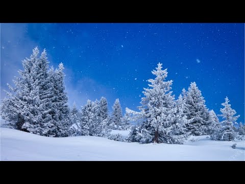 Beautiful Relaxing Music, Peaceful Soothing Instrumental Music, "Winter Woods" by Tim Janis