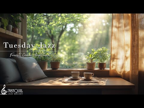 Tuesday Cafe Jazz Music | Relaxing Piano Jazz In Forest for Productivity Day, Work & Study Morning