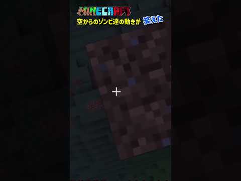 【マイクラ/MINECRAFT】空から朝までゾンビ達をみたら何故か…笑えた🤣