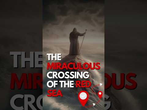 𝗧𝗵𝗲 𝗠𝗶𝗿𝗮𝗰𝘂𝗹𝗼𝘂𝘀 𝗖𝗿𝗼𝘀𝘀𝗶𝗻𝗴 𝗼𝗳 𝘁𝗵𝗲 𝗥𝗲𝗱 𝗦𝗲𝗮 #moses #miracle #miraculous #redsea #bible #evidence