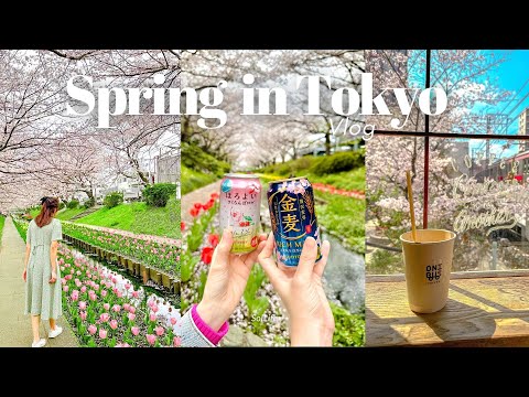 Sping in Tokyo 🌸 | Naka-meguro cherry blossom festival, hanami, spring cafe hopping |Tokyo Vlog