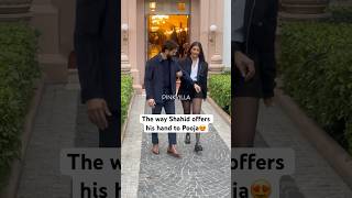 Shahid Kapoor is such a GENTLEMAN😍 | Pooja Hegde | #shorts #bollywood #shahidkapoor #poojahegde