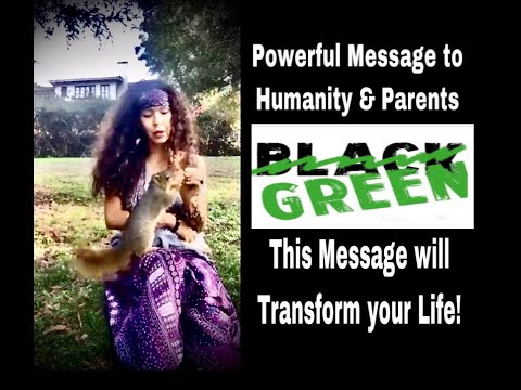 ✨BLACK FRIDAY VS GREEN FRIDAY✨Wake Up to Reality✨Shift Perspectives & Transform your Life Now!✨