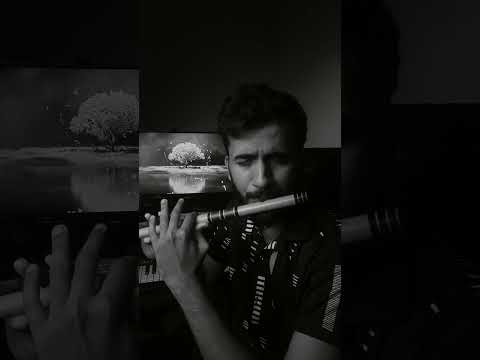 Hey Minnale(Flute Cover) | Harish Soman | GV Prakash | Sivakarthikeyan | Sai Pallavi | Amaran