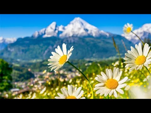 Beautiful Relaxing Music, Peaceful Soothing Instrumental Music, "Spring In Switzerland" by Tim Janis