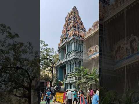 #kandasashti #kandhasashti #kandhasasti #murugansongs #murugantemple #muruga #thiruchendur #ommuruga