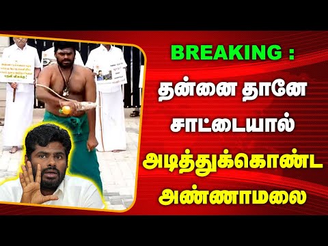 சாட்டையில் விழுந்து அடி ஸ்டாலினுக்கு தான் | Annamalai In Angry Mode | Anna University |