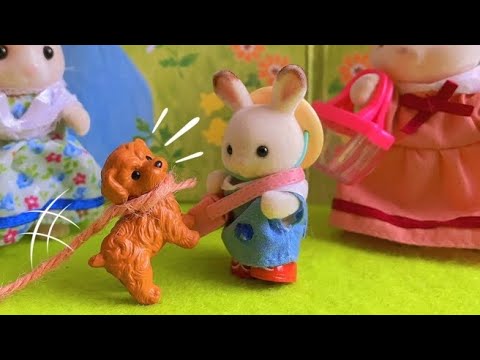 シルバニアファミリー sylvanianfamilies 犬を飼いたいな。おうちで飼えるかな？人形遊び おもちゃ ペットショップ トイプードルcalicocritters toy kids