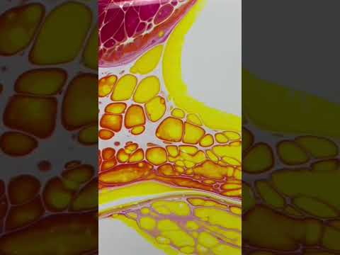 BRIGHT Acrylic Pour Swipe | Fluid Art #shorts #acrylicpouring #acrylicpainting #art