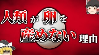 【他は卵】なぜ赤ちゃんを産む生物が哺乳類しかいないのか【ゆっくり解説】【雑学】