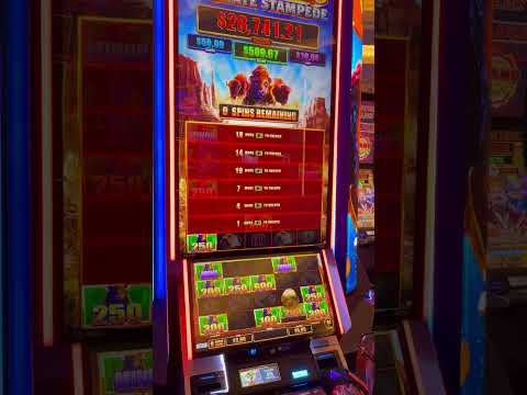 #slot #skyrivercasino #getrich #casino #buffalostampede #slotmachine #stampede #jackpot