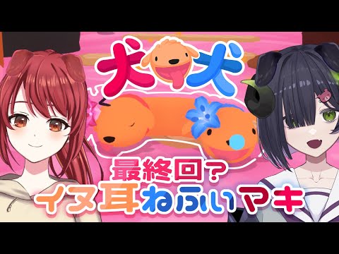 【 犬犬（PHOGS!） 】最終回❔イヌ耳ねふぃマキ見納めスペシャル🐶🐶【 #ねふぃマキ / #新人Vtuber 】