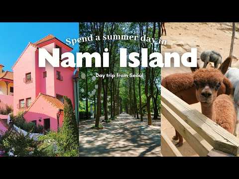 Day trip from Seoul, Korea | Summer day in Nami island | Alpaca world, Garden of Morning Calm