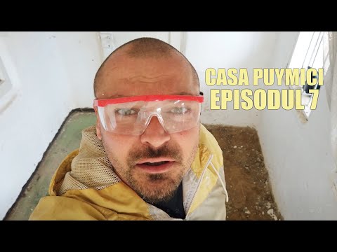 Casa Puymici | Episodul 7 - Am lipit peretii