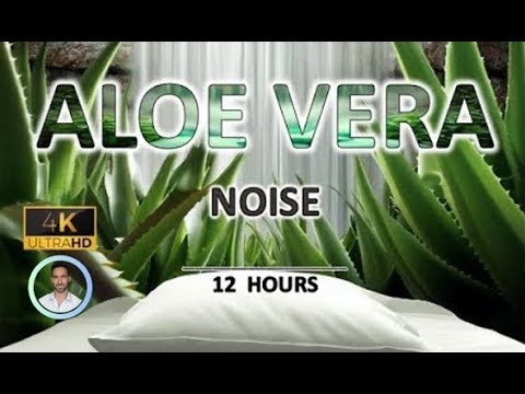 Aloe Vera Noise for DEEP Sleep and Healing | Headphones Needed |12 Hours BLACK SCREEN