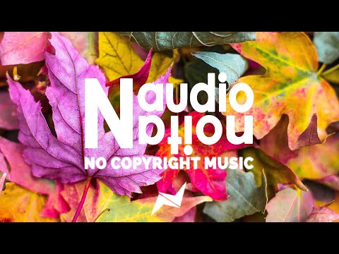 No Copyright Background Music for Vlogs | Autumn – AXM | Free to Use Music for Intros