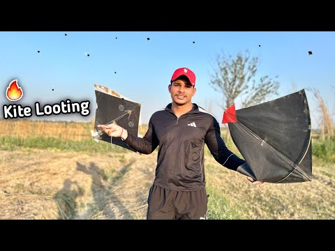 I Am Looted Kites In Ground | Kite Catching | Kites Vlog |