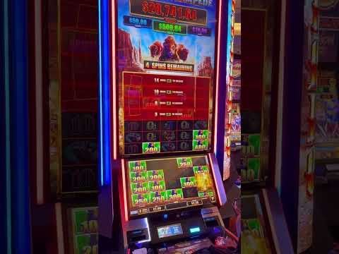 #slot #skyrivercasino #getrich #casino #buffalostampede #slotmachine #stampede #jackpot