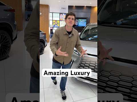 Insane Lexus Luxury In a Mini Van??