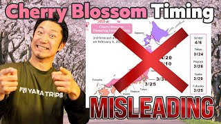 2025 Cherry Blossom Timing in Japan: When and Where?