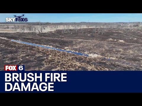 Brookfield brush fire; assessing damage, future prevention | FOX6 News Milwaukee