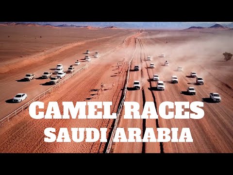 Camel Racing in Saudi Arabia - Middle East Travel سباق الهجن المملكة العربية السعودية رياضة