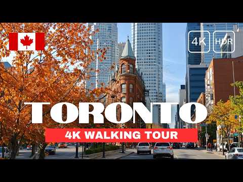 [4K] Toronto Autumn Walking Tour 🍂🍁 Enjoy Canada's Fall Foliage on a Magical Afternoon Walk 🍂🍁