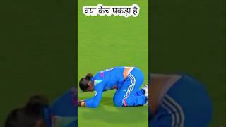 Amazing catches jabardast caugh women cricketer #women cricket #indian women #wpl