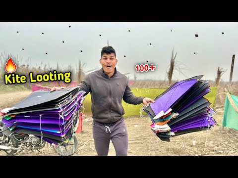 Kite Looting in Ground | Kite Catching | Kite Flying | Kites Vlog