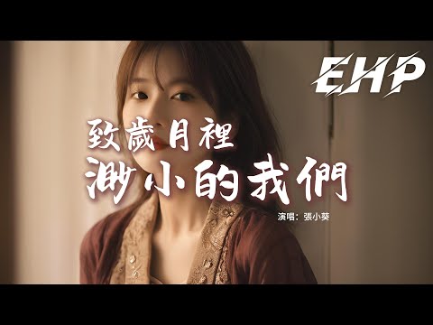 張小葵 - 致歲月裡渺小的我們『你要記得 在大雨中為你撐傘的人，你要認得 在黑暗裡曾抱緊你的人，你要念着 痛着陪你徹夜聊天的人，TA正為你 穿過最洶湧的人群。』【動態歌詞MV】