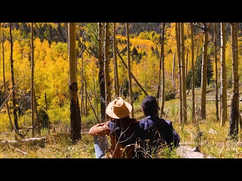 Beautiful Relaxing Music, Peaceful Instrumental Music "Home Movies Autumn Memories" By Tim Janis