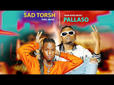 Pallaso - TEWEKOYA ft Sad Torsh