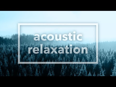 Relaxing Acoustic Instrumental Music 1+ Hour — Aerial of Beautiful Forests Through Seasons 4K UHD