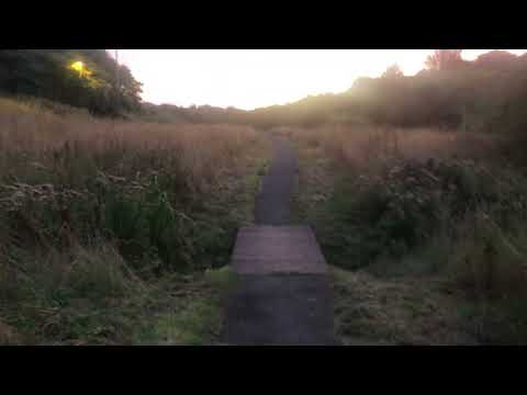 Evening walk by a gentle river