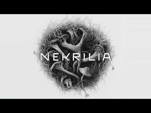 1. Nekrilia