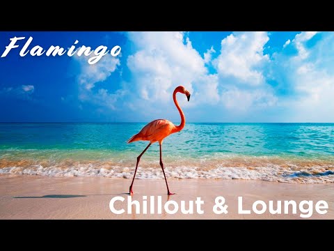 Flamingo ✨ Lounge & Chillout Music ✨ Silk Lounge Sessions Vol.9