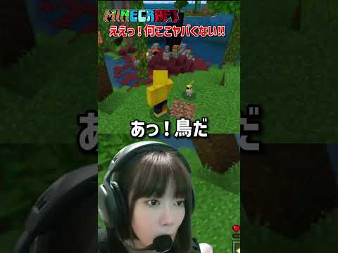 【マイクラ/MINECRAFT】ええっ‼️恐ろし過ぎる謎の場所発見😲