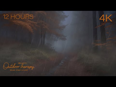 A Rain Soaked Path to Calm Your Noisy Mind - Immersive Autumn Rain Sounds Ambience [4K] 12 HOURS