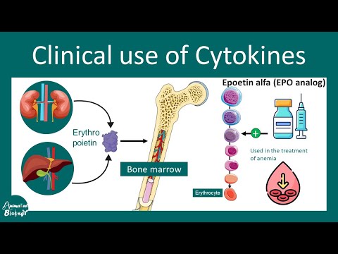 Cytokine clinical usage | cytokines as medicine | USMLE step 1