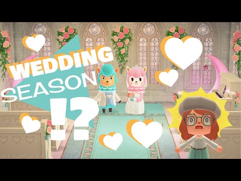 WEDDING SEASON IS COMING?! Are you ready? // ACNH News and Updates!